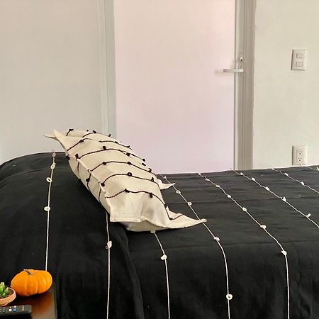 Casa Monarca Otel Oaxaca Dış mekan fotoğraf